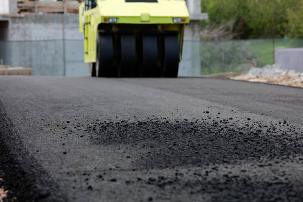 Best Driveway Paving Contractor  in Golden Meadow, LA